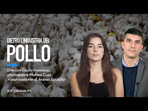 LIVE  Dietro l’industria del pollo con Giulia Innocenzi