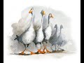 geese watercolour tutorial for beginner to intermediate level.