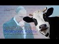 Зачем Путину беларуские коровы? (логика одной интеграционной инициативы)