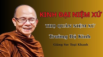 QUÁN CHIẾU THÂN TÂM ĐỂ BUÔNG BỎ KHỔ ĐAU - SƯ TOẠI KHANH GIẢNG