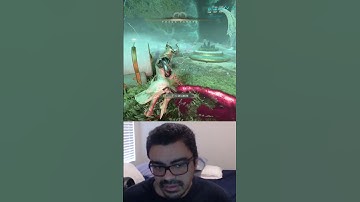 Vet POV: How to really play Warframe