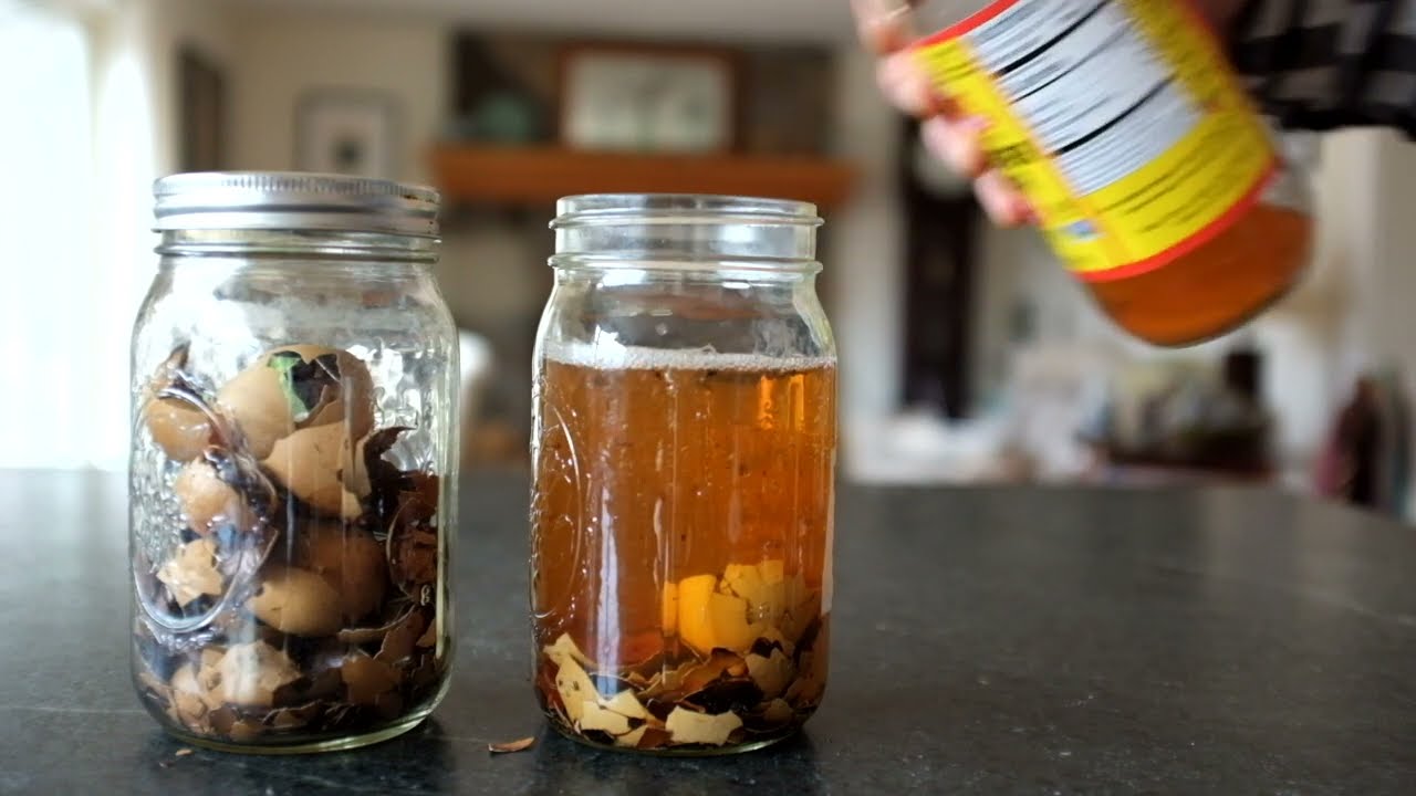How to Make Vinegar Extractions from shells, bones or other resources