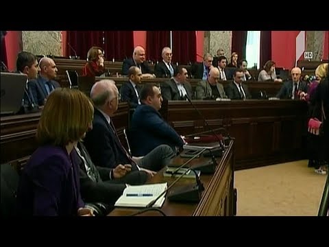 საგარეო კომიტეტის ხმაურიანი სხდომა