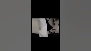 حاربيني خسريني حسسيني بانهزامي فهد بن فصلا فالح بن فصلا 