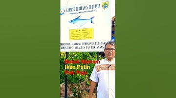 Thumbnail of Botok Mercon ikan Patin Pak Pujo Sragen#Shorts