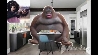 le monke breaks into your kitchen and does a funny dance then gets shot and dies on your floor