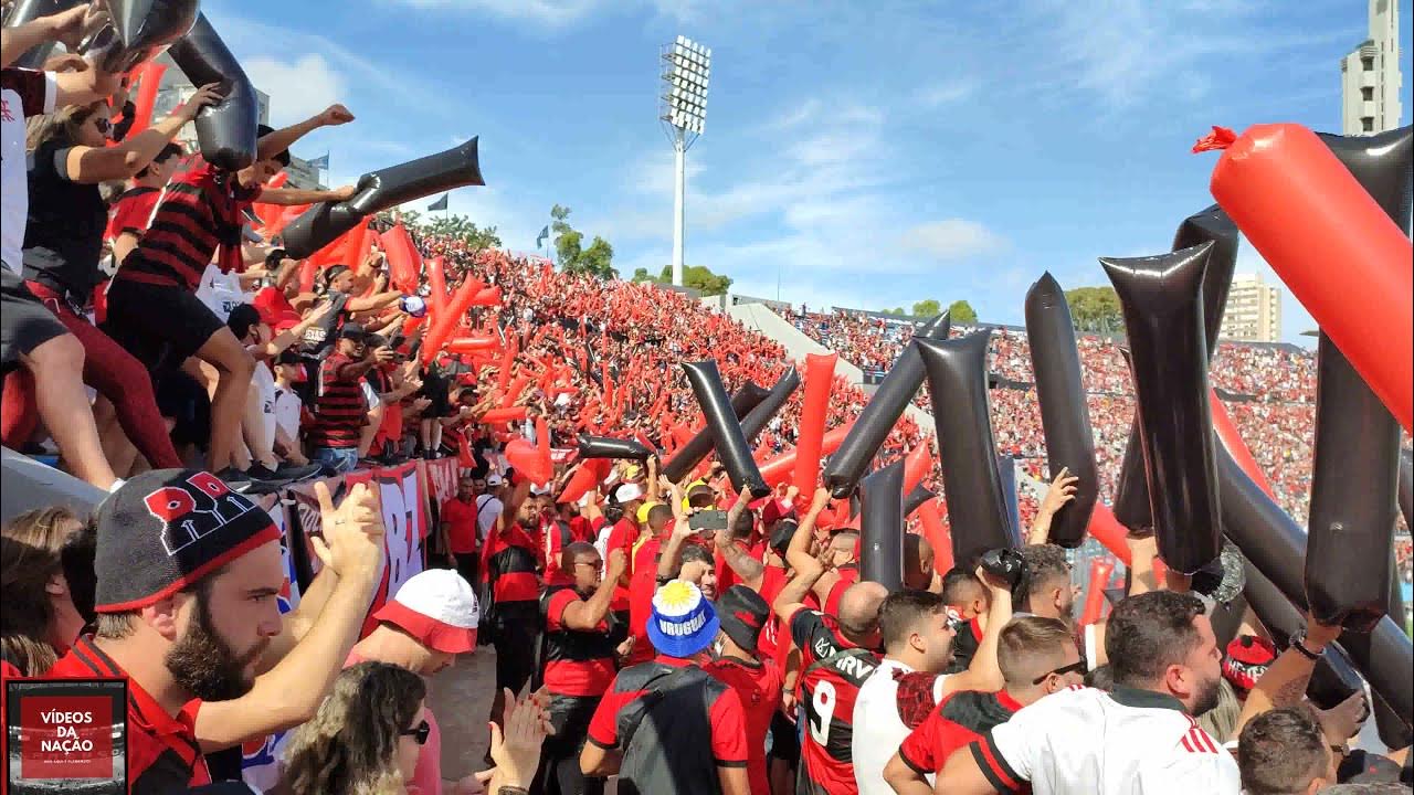 Final da Libertadores: Governo do Uruguai e Conmebol implantam duas ações  para o dia do jogo entre Palmeiras e Flamengo