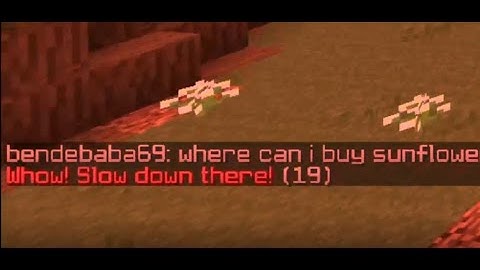All your Hypixel Skyblock pain in one video