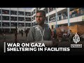 Displaced in Gaza: Hundreds of thousands sheltering in underway schools