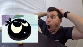 Qumi Qumi But Only Oilo Is On Screen