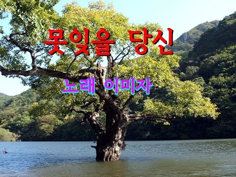 이미자 (+) 못잊을 당신