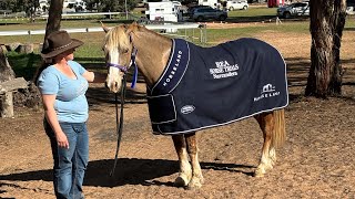 REA Narrandera Horse Trials including our @AnEventfulLife-XCVideo