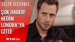 Nedimi Londraya Gönderdim - Zalim İstanbul 16. Bölüm