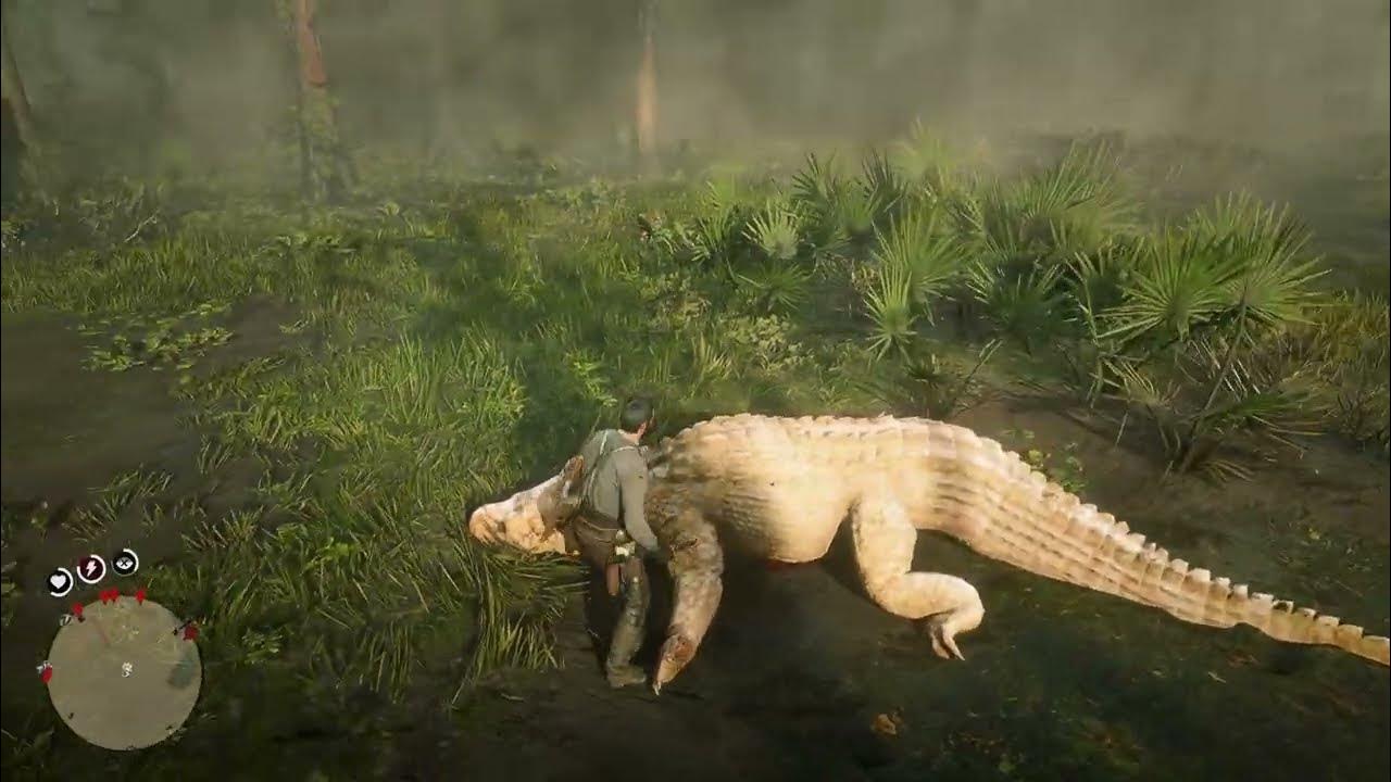 Red Dead Redemption 2 Legendary Alligator Location Red Dead Redemption 2 2024 gameplay Legendary Alligator Location hunt
