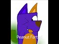 Peanut feels realxed while farting