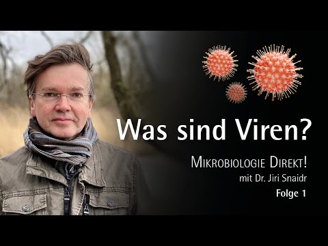 Video: Sind Viren Am Leben? - Alternative Ansicht