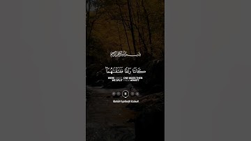 قران كريم | سعد الغامدي