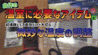 クワガタの温室のためのアイテムを色々調整