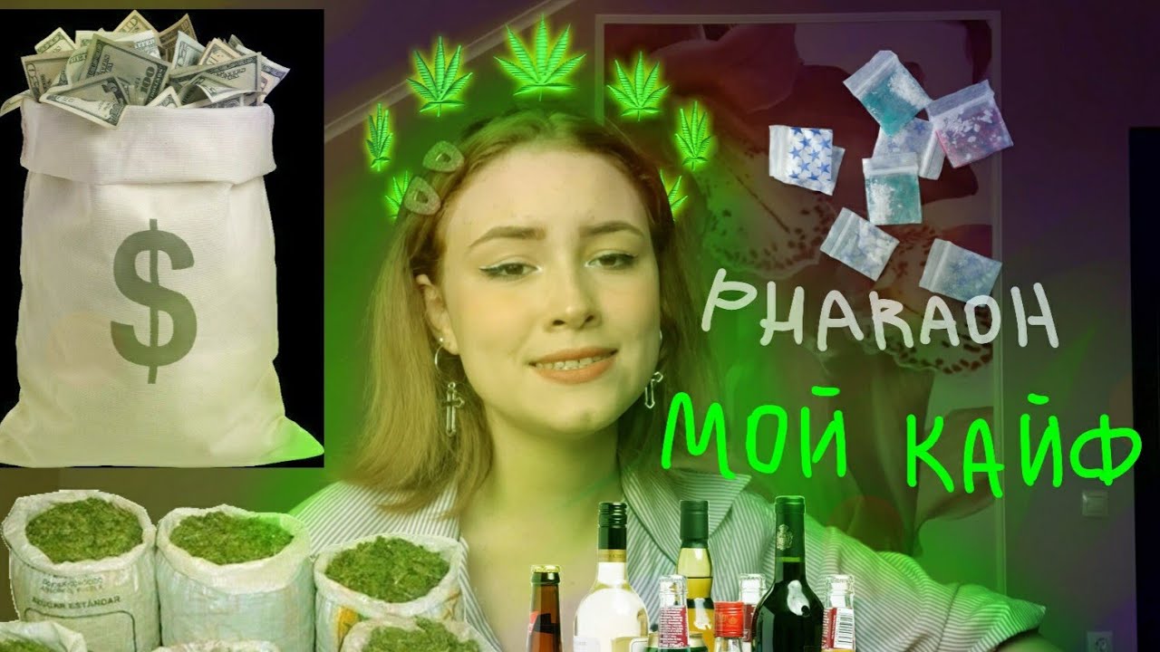 Мой кайф фара текст
