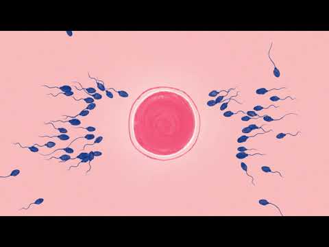 Eggs and Sperm Donation Campaign