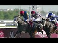 RM 32  Al Rayyan Race 3 - H.H. Sheikh Abdullah Bin Khalifa Al Thani Trophy (Far Bend)