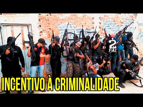 O Brasil e a política de INCENTIVO à CRIMINALIDADE | Cortes do Rubem Gonzalez