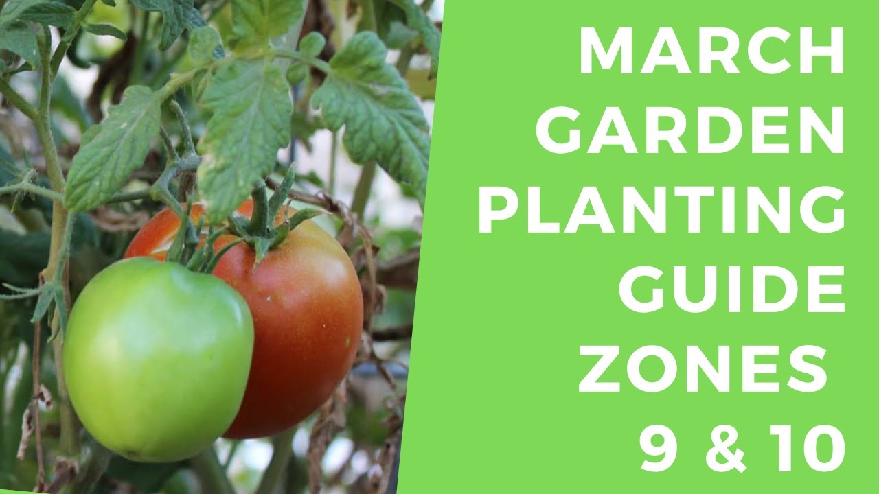 March Planting Guide Zones 9 10 What Can You Plant In Your Garden