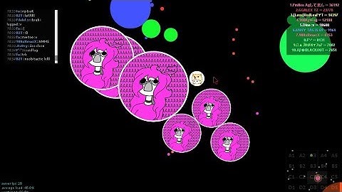 Senpa.io - Highlights #1