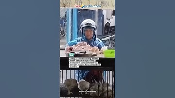 Emak-Emak Curi Ayam, Ternyata Tak Hanya Satu Kali. #news #beritaterkini #viralvideo