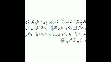 2 - سورة البقرة ١٩٧ - مشاري بن راشد العفاسي