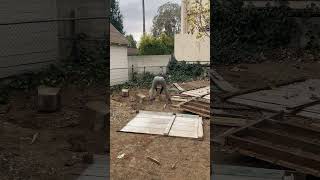 Junk Removal Timelapse - Old Shed Removal