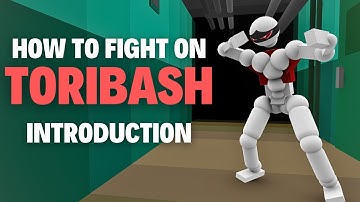 How To Fight On Toribash: Introduction