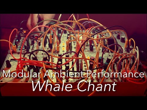 Modular Ambient : Whale Chant : Tides, Rings, Peaks, Ripples, Clouds, 4ms SMR