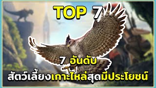 7 อันดับ สัตว์เลี้ยงเกาะไหล่ที่มีประโยชน์ที่สุด ARK Survival Evolved