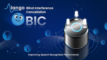 Blind Interference Cancellation (BIC) Technology
