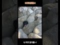 나 여기 있지롱~!