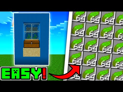 🦅 Minecraft Bedrock