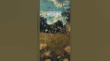القرآن الكريم/ ذكر الله/ تلاوة خاشعة/ترتيل #القرآن_الكريم #quran #راحة_نفسية