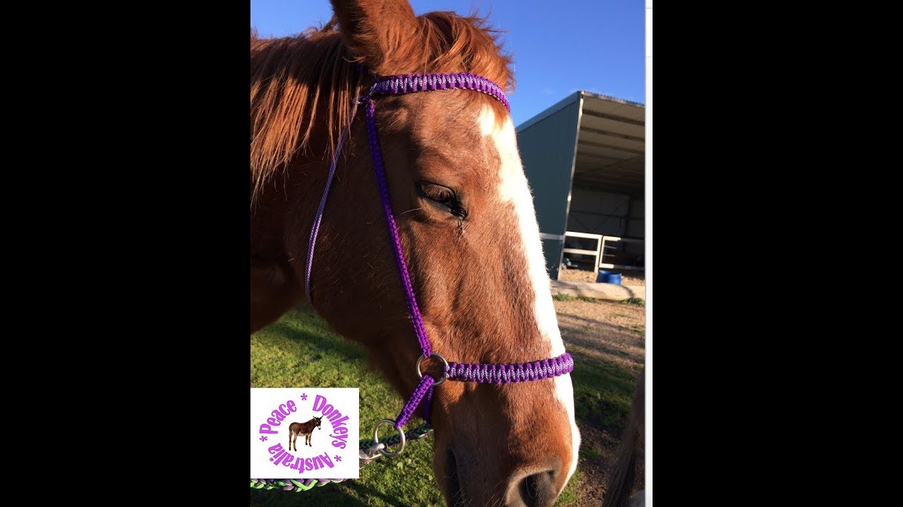 How To Make Your Own Bitless Bridle