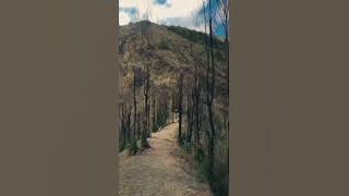 status wa pendaki gunung || #shorts  #gunung  #jalan #pendaki