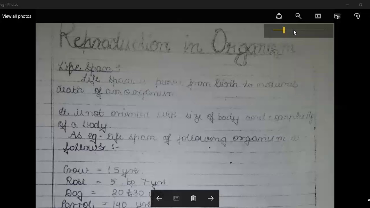 Class 12 Biology chapter 1 Reproduction in organisms By FK - YouTube