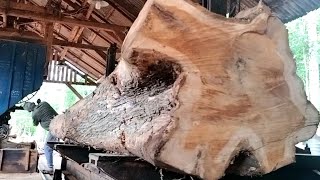 Sawing large and long teak wood into amazing wide sheets || Crazy woodworking.