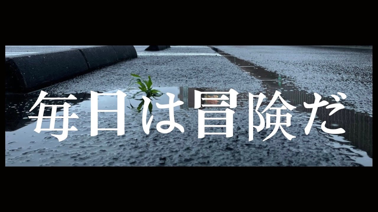 毎日は冒険だ Youtube 毎日は冒険だ Youtube