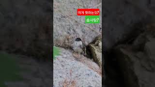 생활의 달인1.