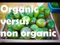 Organic vs non organic avocadoes health benefits