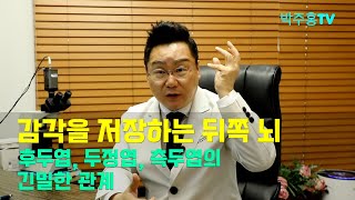치매박사 박주홍원장의 치매특강 Part 33, 후두엽, 두정엽, 측두엽의 긴밀한 관계
