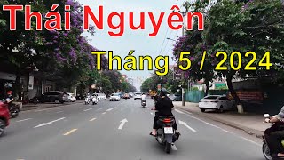 Đường phố Thái Nguyên tháng 5/2024 | Rực rỡ hoa bằng lăng tím