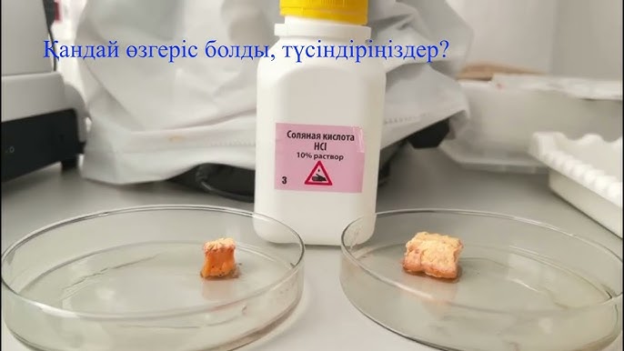 Екі балапан үлкен жопы трахаются рахат