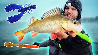PERCH FISHING: Crawfish vs Dropshot  (UNEXPECTED RESULT!)