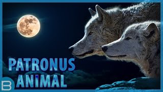 what is your patronus animal?